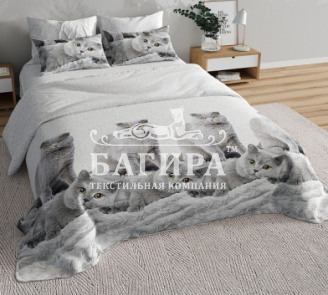 Британцы