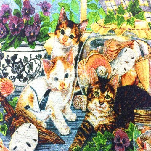 Котики