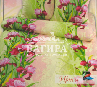Ирисы