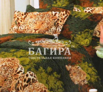 Гепарды 2