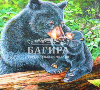 Медведи