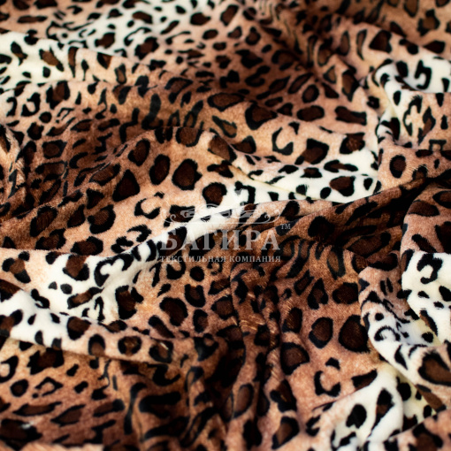 Оцелот