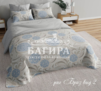Бриз вид 2