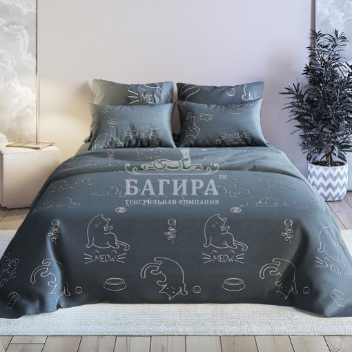 Котики