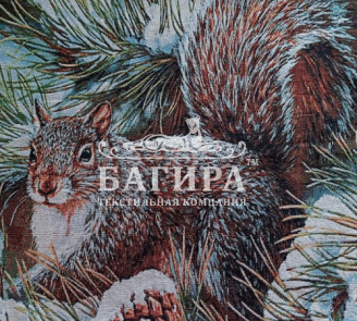 Белка