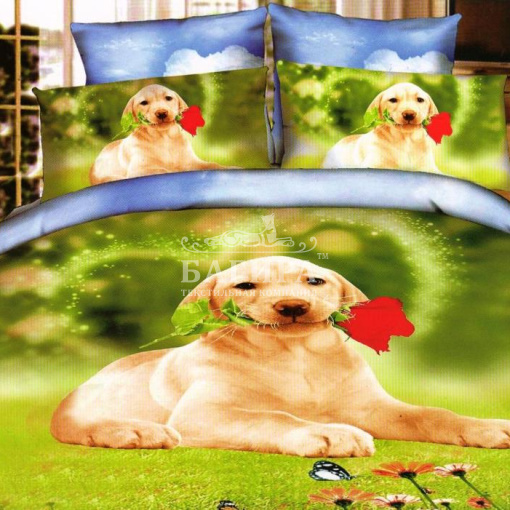 Дейзи